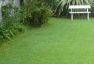 Lambs Valley NSWlawn-and-turf-2.jpg; ?>