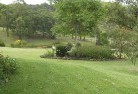 Lambs Valley NSWlawn-and-turf-6.jpg; ?>